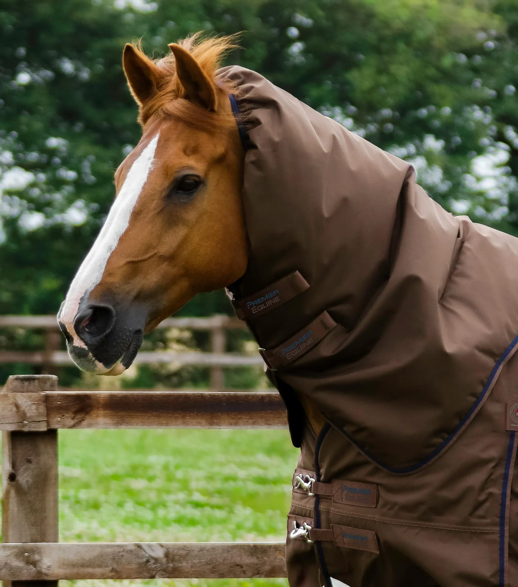 Buster 400g Turnout Rug with Snug-Fit Neck Cover Brown