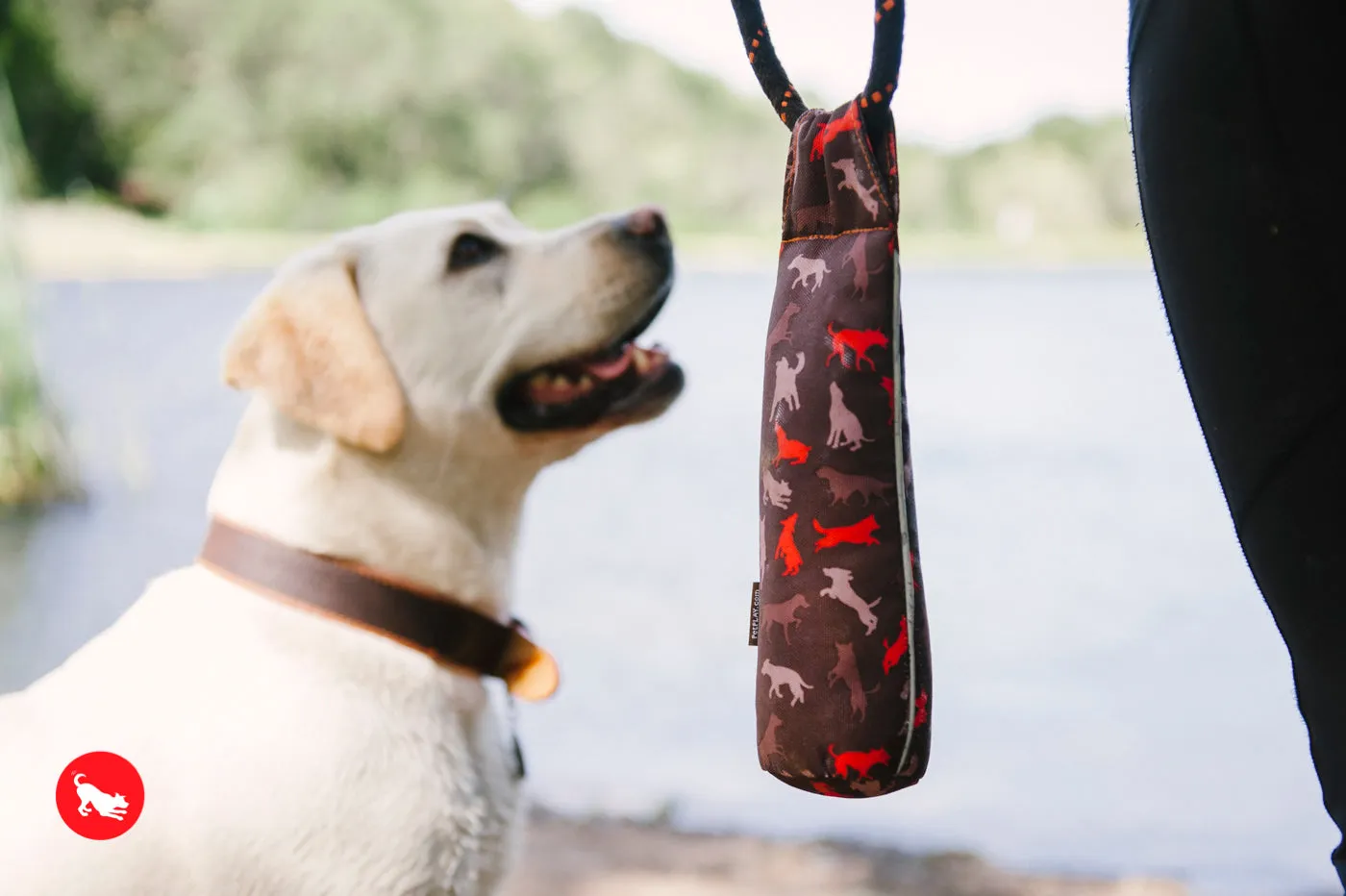 Dog Toss & Float Toy