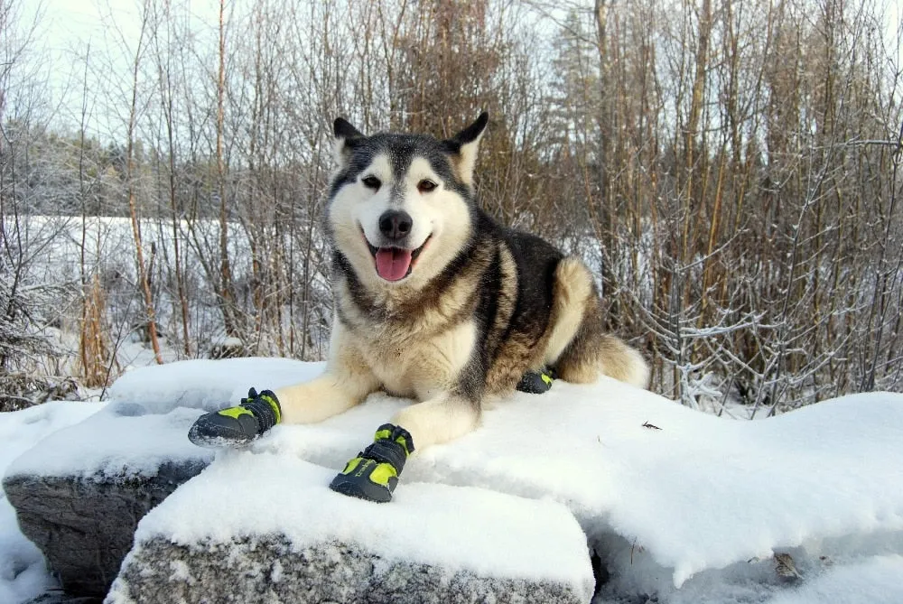 Durable Reflective & Waterproof Shoe Booties