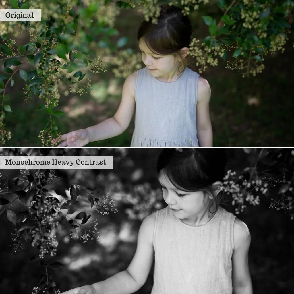 Enchanted Gardens Lightroom Presets – Desktop & Mobile