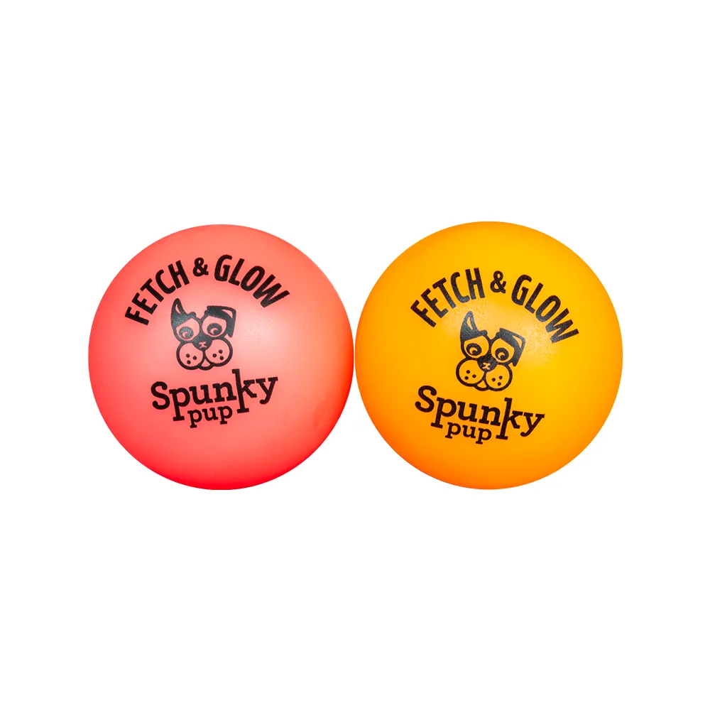 Fetch & Glow Balls Dog Toys