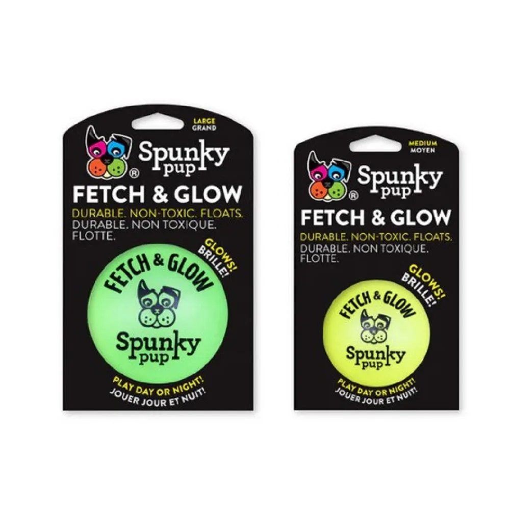 Fetch & Glow Balls Dog Toys