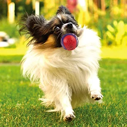 GiGwi - Squeaker Ball Dog Toy - 3pk