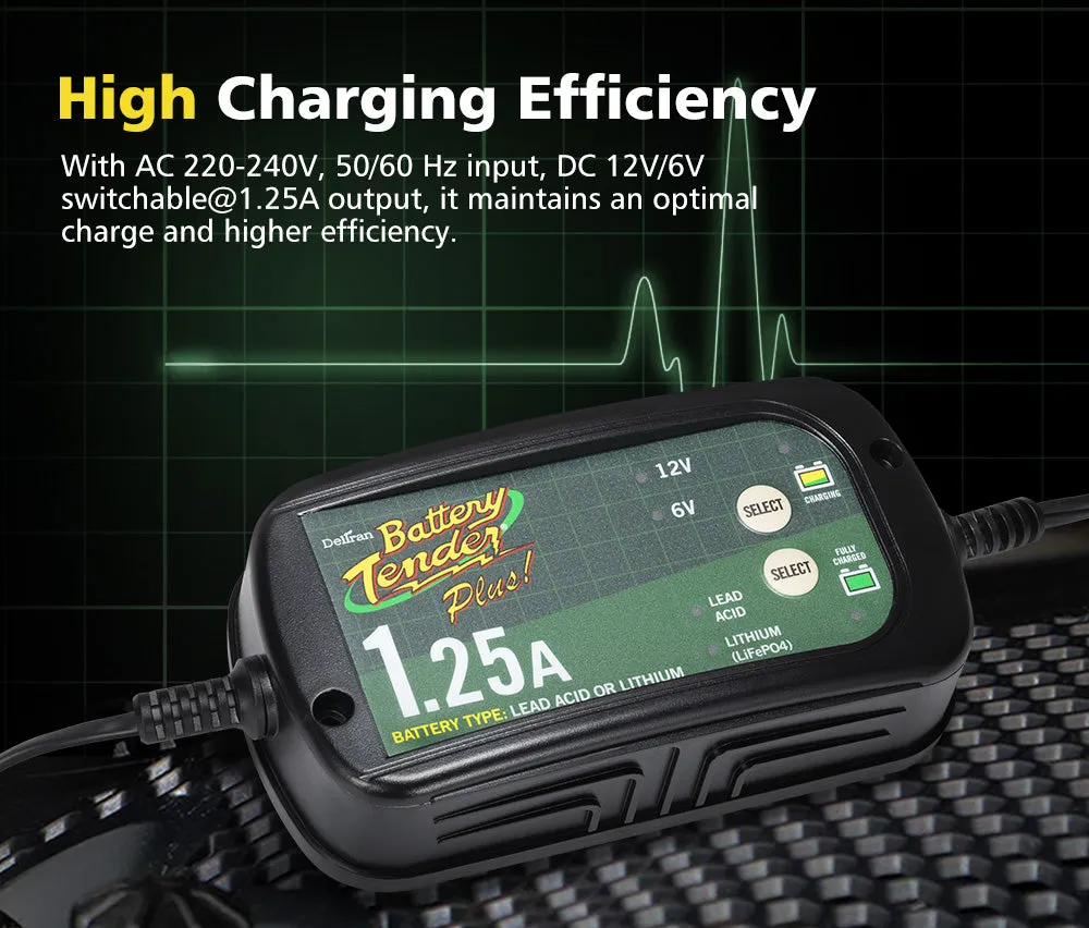 Smart Battery Charger 1.25A 6V/12V Automatic SLA AGM Car Truck Boat Motorcycle