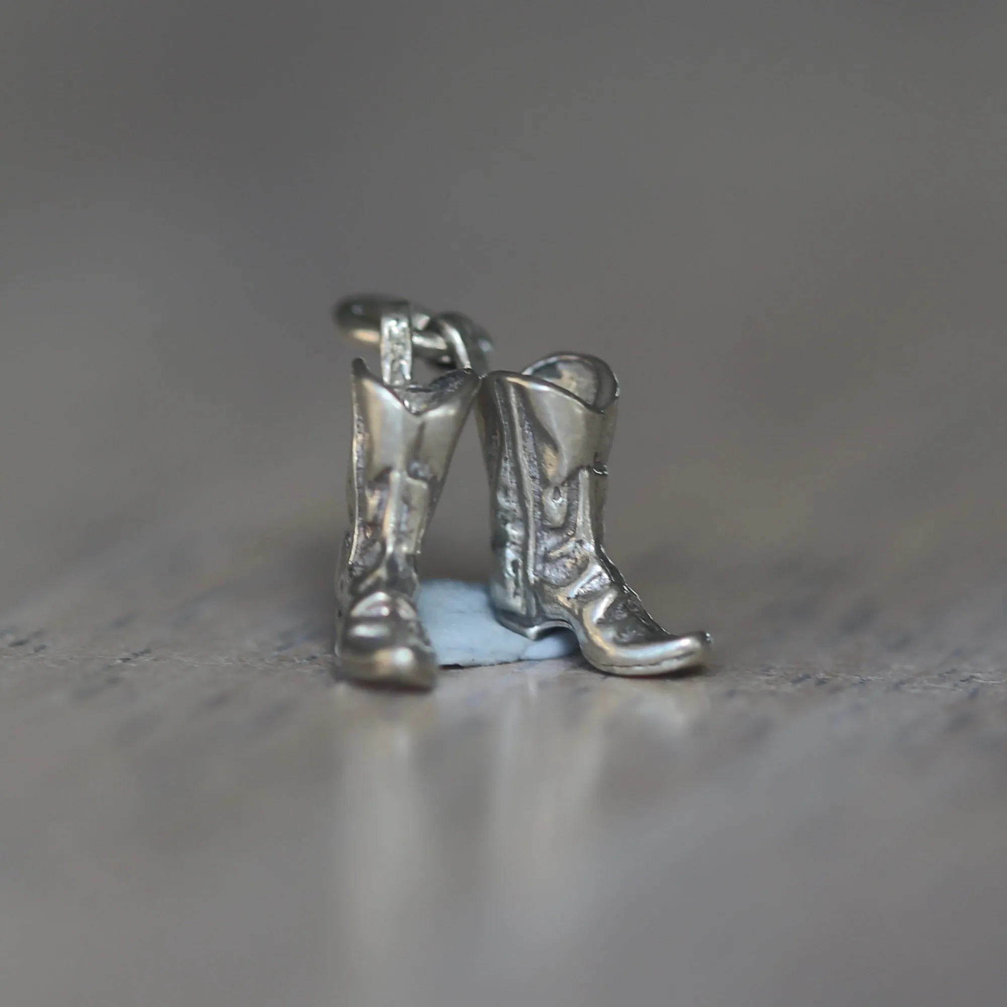 The Lost Shoe Collective (hello Cinderella) Silver Charms