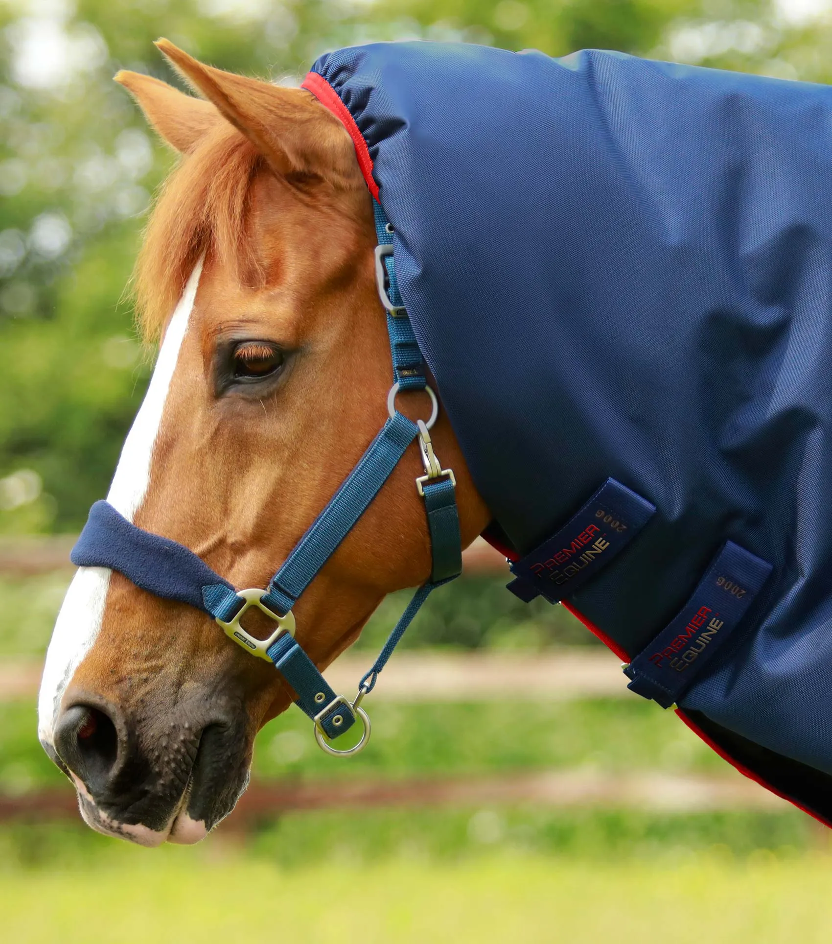 Titan 450g Turnout Rug with Snug-Fit Neck Cover Navy