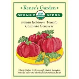 Tomato Costoluto Genovese, Italian Heirloom by Renee's Garden