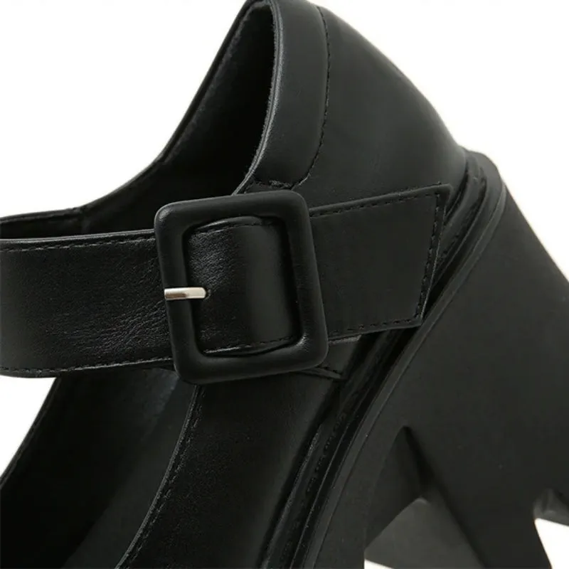 Vintage Vibes School Girl Chunky Heels Fashion Shoes